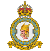 350th Squadron 