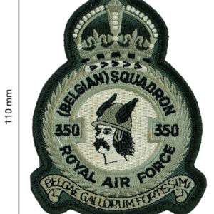 Alternative view of Low Observable (LO) Crest 350SQN