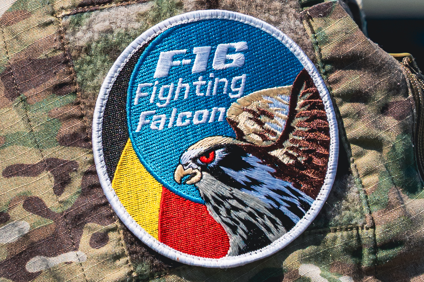 BAF F-16 Swirl - Image 4